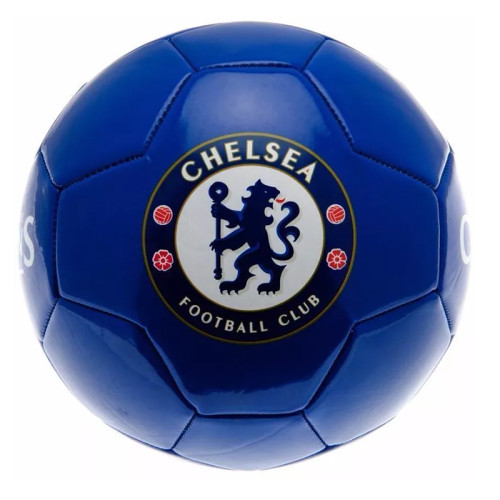 Soccer Ball (Blue)