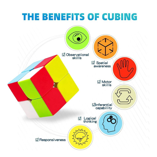 Moyu 2*2 Cube Box Puzzle